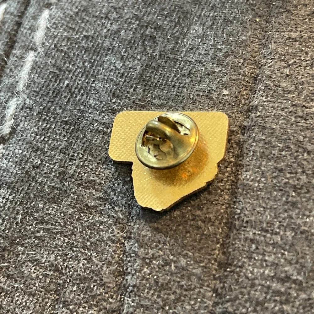 Petrified Forest National Park Arizona Souvenir Enamel Lapel Pin